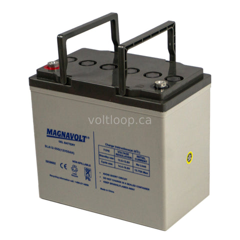 Group 22NF Batteries