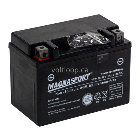 Snowmobile Batteries