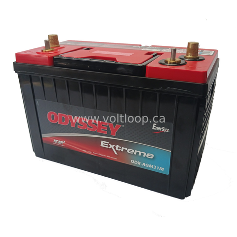 Dual Purpose Marine Battery