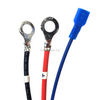 Lester Summit Series 2 1425W Charger & Ring Terminals